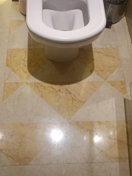 松山湖管委会瓷砖修缮